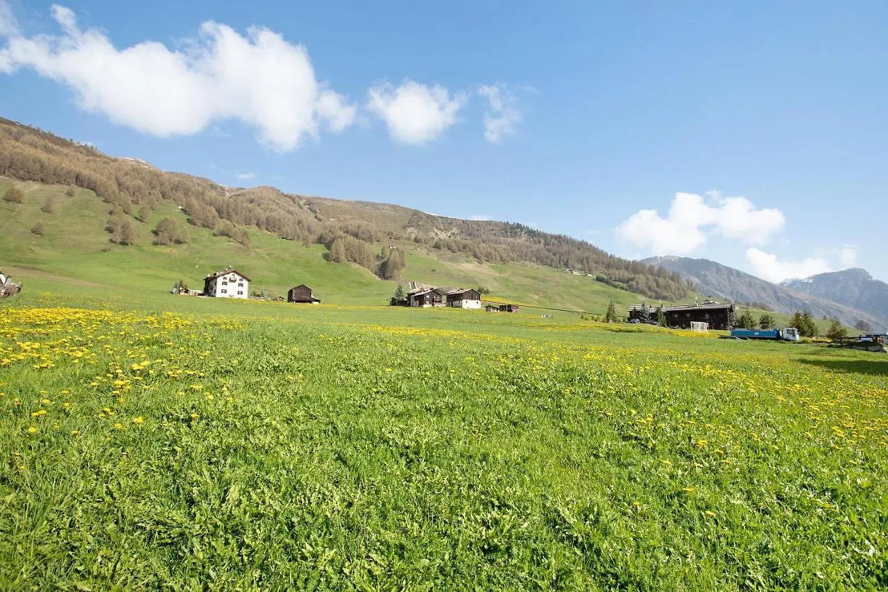Baita Truzz Appartamento Valle Livigno 0*,  Italy